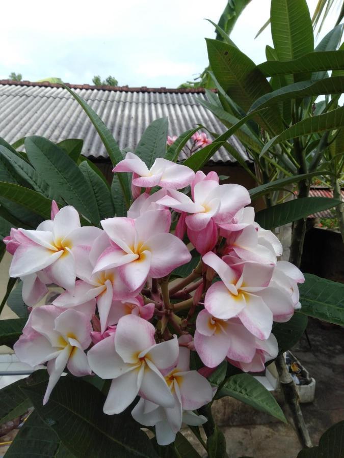 Gatri Hut Hotell Lembongan Eksteriør bilde